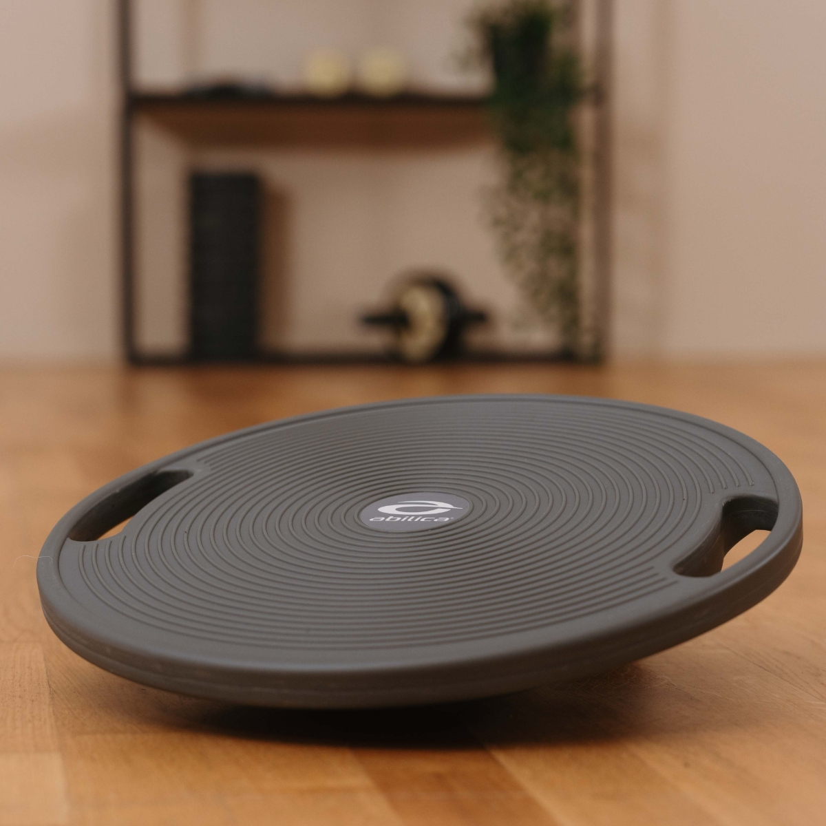 BalanceBoard Balansebrett BalanceBoard Balansebrett