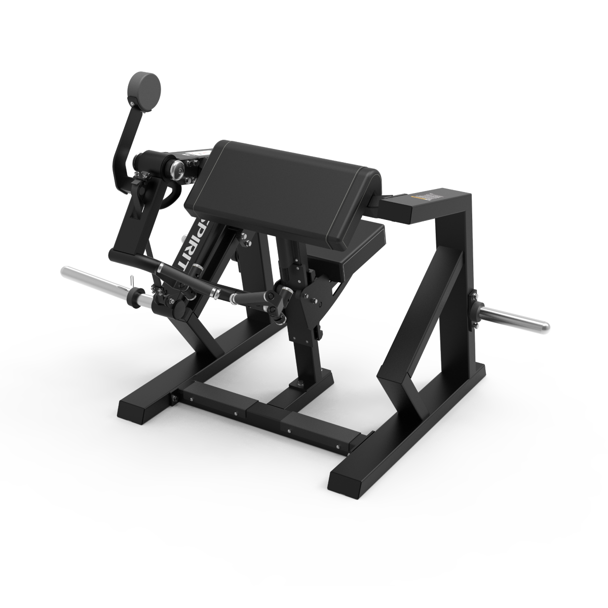 Biceps Curl PL