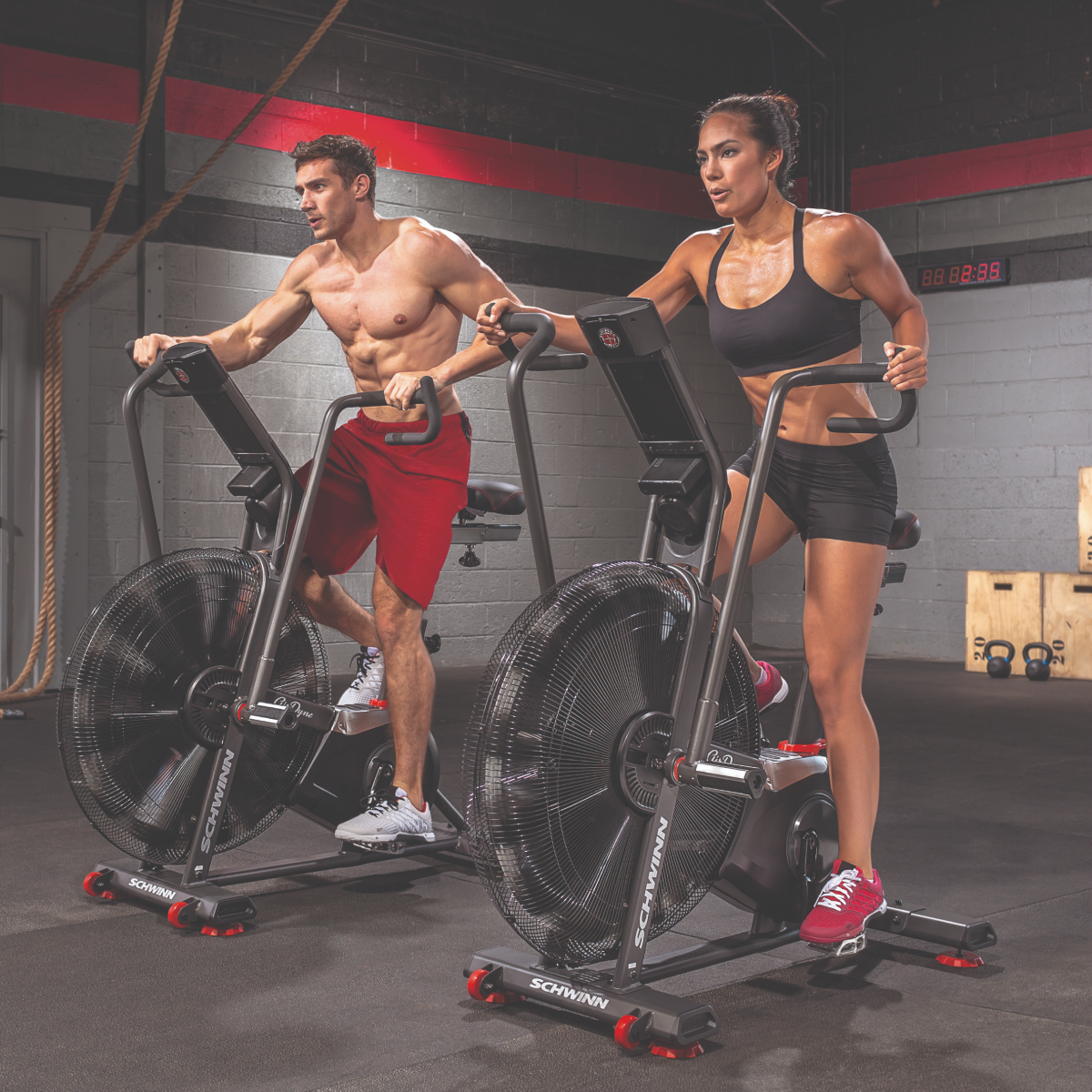 AirBike Airdyne AD8