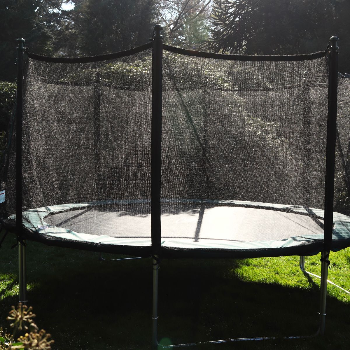 Jumpmaster Flexi Trampoline inkl. nett og stige| Treningspartner